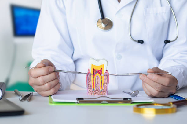 Best Emergency Dental Care for Broken or Chipped Teeth in Winnebago, MN